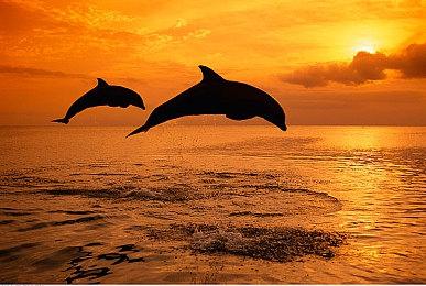 育碧未公布项目代号“Iridium”剧情等细节曝光